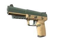 FN57 | 雇佣兵 (破损不堪) skin