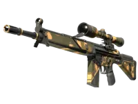 G3SG1 | Arena negra (Algo desgastado) skin