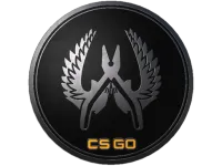 Guardian Elite Pin