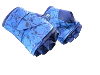 ★ Hand Wraps | Cobalt Skulls (Well-Worn)