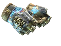 ★ Hydra Gloves | Case Hardened (Well-Worn)