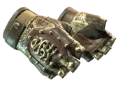 Rękawice Hydra (★) | Grzechotnik (lekkie zużycie) skin