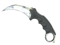Karambit (★) | Śniedź (po ciężkich walkach) skin