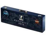 Katowice 2019 Cache Souvenir Package skin
