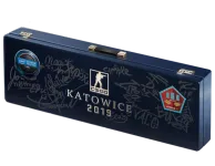 Katowice 2019 Mirage Souvenir Package skin