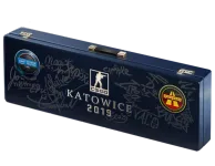Katowice 2019 Overpass Souvenir Package skin