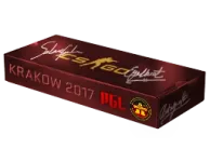 Krakow 2017 Overpass Souvenir Package