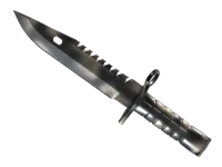 Bagnet M9 (★) | Popiół (lekkie zużycie) skin