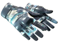 ★ Moto Gloves | Cool Mint (Field-Tested)