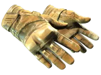 ★ Moto Gloves | Transport (Battle-Scarred)