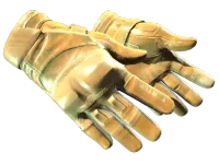 Guantes de motorista ★ | Transporte (Casi nuevo) skin