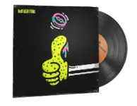 Music Kit | New Beat Fund, Sponge Fingerz