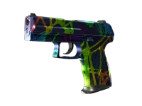 P2000 | Acid Etched (Well-Worn)