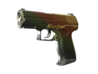 P2000 | Amber Fade (Well-Worn) skin