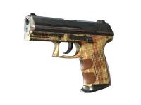 P2000 | Coach Class (Testado no Terreno) skin