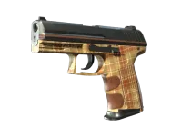 P2000 | Coach Class (Minimalt slitage) skin