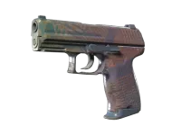 P2000 | 珊瑚半调 (久经沙场) skin