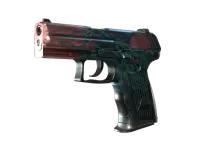 StatTrak™ P2000 | Gnarled (Well-Worn)