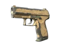 P2000 | Graslandschaft (Kampfspuren) skin