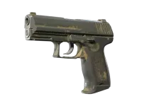 P2000 | Grassland Leaves (Battle-Scarred)