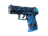 P2000 | Oceanic (Factory New)