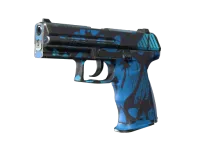 P2000 | 海洋 (久经沙场) skin