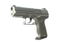 P2000 | Silver (Minimal Wear)
