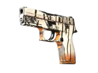 P250 | Bengal Tiger (Testado no Terreno) skin