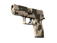 P250 | Black & Tan (Minimal Wear) skin