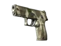 P250 | Máscara ósea (Algo desgastado) skin