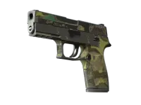 P250 | Boreal Forest (Battle-Scarred)