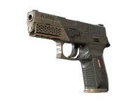 P250 | Bullfrog (prosto z fabryki) skin
