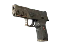 P250 | Bullfrog (Well-Worn)