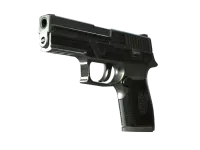 P250 | Cartel (Battle-Scarred)