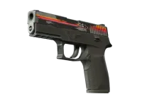 P250 | Cassette (Battle-Scarred)