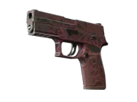 P250 | Contaminant (Field-Tested) skin