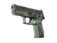 P250 | Copper Oxide (Battle-Scarred)