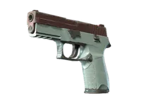 P250 | Copper Oxide (Field-Tested)