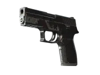 P250 | Filigrana oscura (Algo desgastado) skin