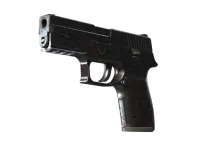 P250 | Dark Filigree (Minimal Wear)