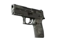 P250 | Facets (Battle-Scarred)