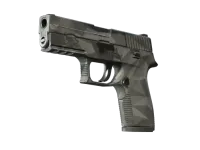 P250 | Грани (После полевых испытаний) skin