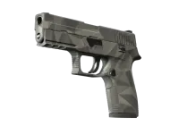 P250 | Facets (Minimalt slitage) skin