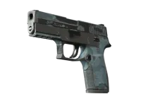P250 | 暮色森林 (战痕累累) skin