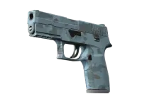 P250 | Forest Night (Factory New)