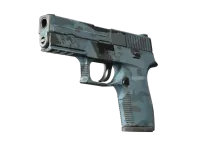 P250 | Лесная ночь (Поношенное) skin