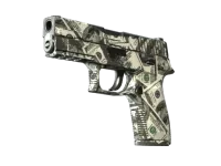 P250 | Franklin (Well-Worn)