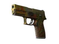 P250 | Inferno (Battle-Scarred)