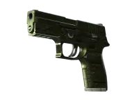 P250 | Iron Clad (Field-Tested) skin