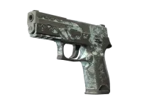 P250 | 日式薄荷涂装 (战痕累累) skin